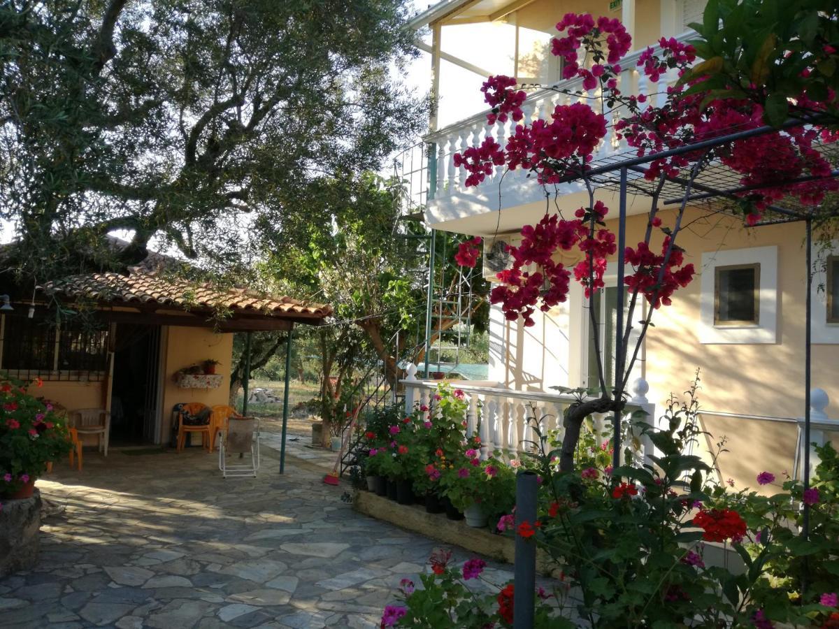 Casa Dyonisia Tsilivi Lejlighedshotel Plános Eksteriør billede