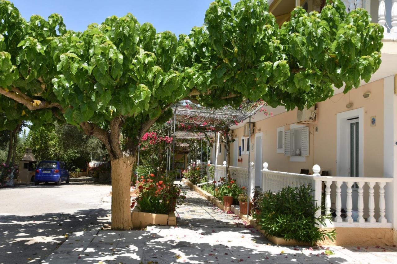Casa Dyonisia Tsilivi Lejlighedshotel Plános Eksteriør billede