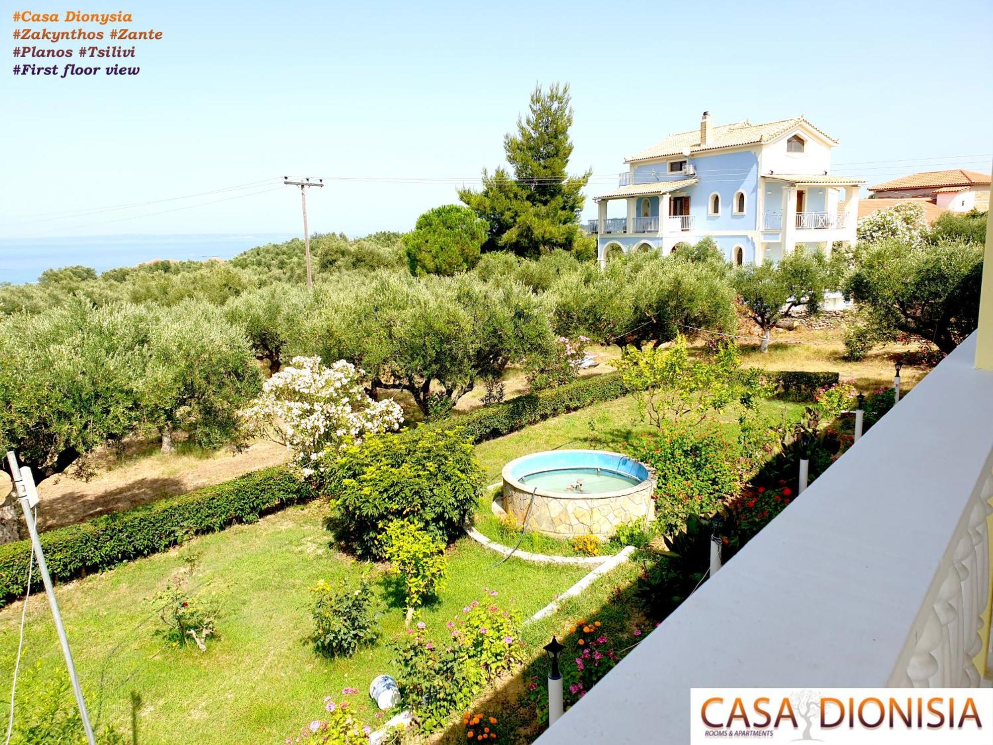 Casa Dyonisia Tsilivi Lejlighedshotel Plános Eksteriør billede
